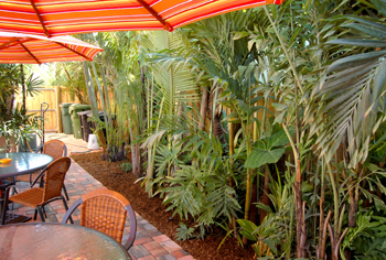 plant installation landscape design fort lauderdale